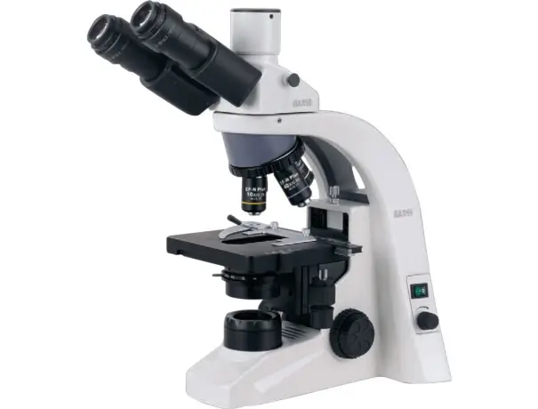 How Does Live-Cell Imaging Work with Biological Microscopes? How Does Live-Cell Imaging Work with Biological Microscopes?