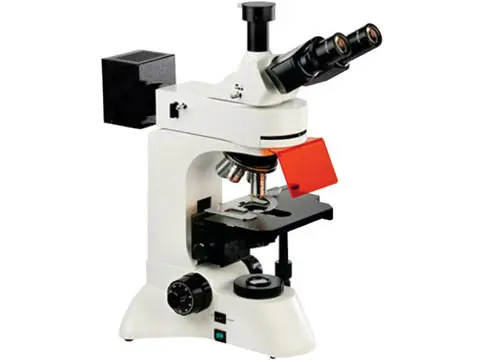 How Do Fluorescence Microscopes Differ from Conventional Biological Microscopes? How Do Fluorescence Microscopes Differ from Conventional Biological Microscopes?