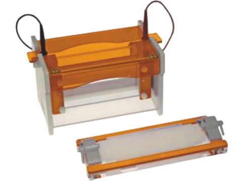 POINTS TO CONSIDER WHEN BUYING GEL ELECTROPHORESIS POINTS TO CONSIDER WHEN BUYING GEL ELECTROPHORESIS
