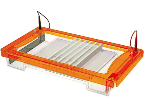 THE COMPLETE GUIDE TO BUYING THE MAXI HORIZONTAL GEL ELECTROPHORESIS SYSTEM THE COMPLETE GUIDE TO BUYING THE MAXI HORIZONTAL GEL ELECTROPHORESIS SYSTEM