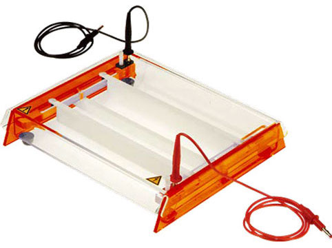 THE COMPLETE GUIDE TO BUYING THE MAXI HORIZONTAL GEL ELECTROPHORESIS SYSTEM THE COMPLETE GUIDE TO BUYING THE MAXI HORIZONTAL GEL ELECTROPHORESIS SYSTEM