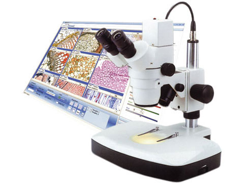 WHAT DO DIGITAL MICROSCOPES CONSIST OF?