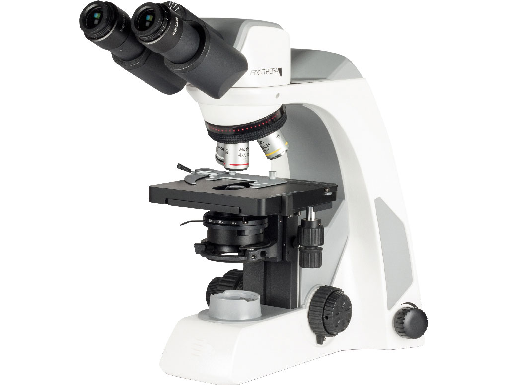Binocular Microscope - Panthera S 3