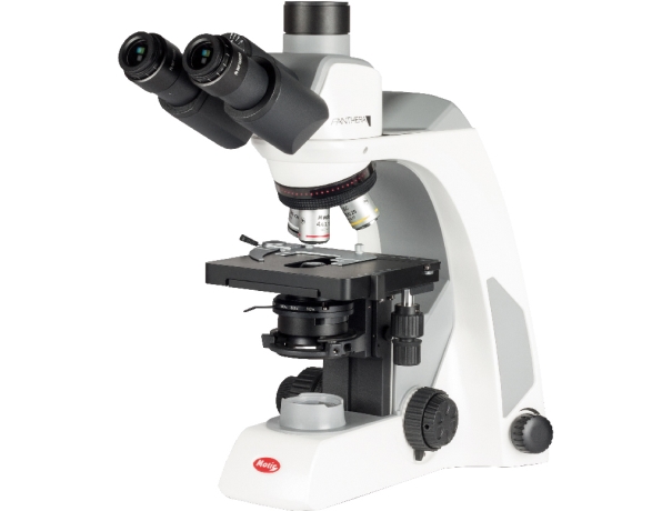 Trinocular Microscope - Panthera S
