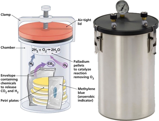 ANAEROBIC JAR