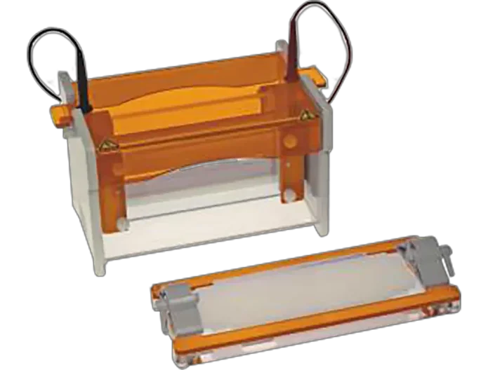 VERTICAL GEL ELECTROPHORESIS